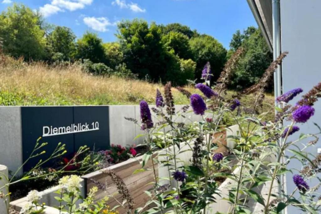 Haus Diemeleck - Ferienhaus Fuer 6 Personen Mit Sauna Und Dachterrasse Mit Panoramablick Villa Heringhausen Exterior photo